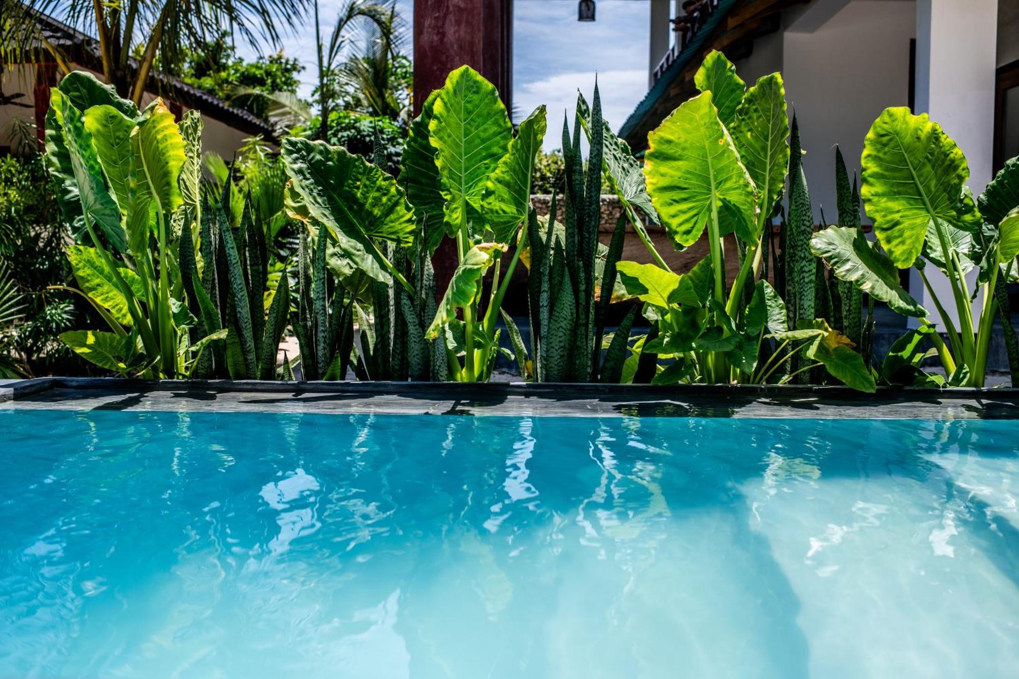 Baobab Bungalows 江比阿 外观 照片