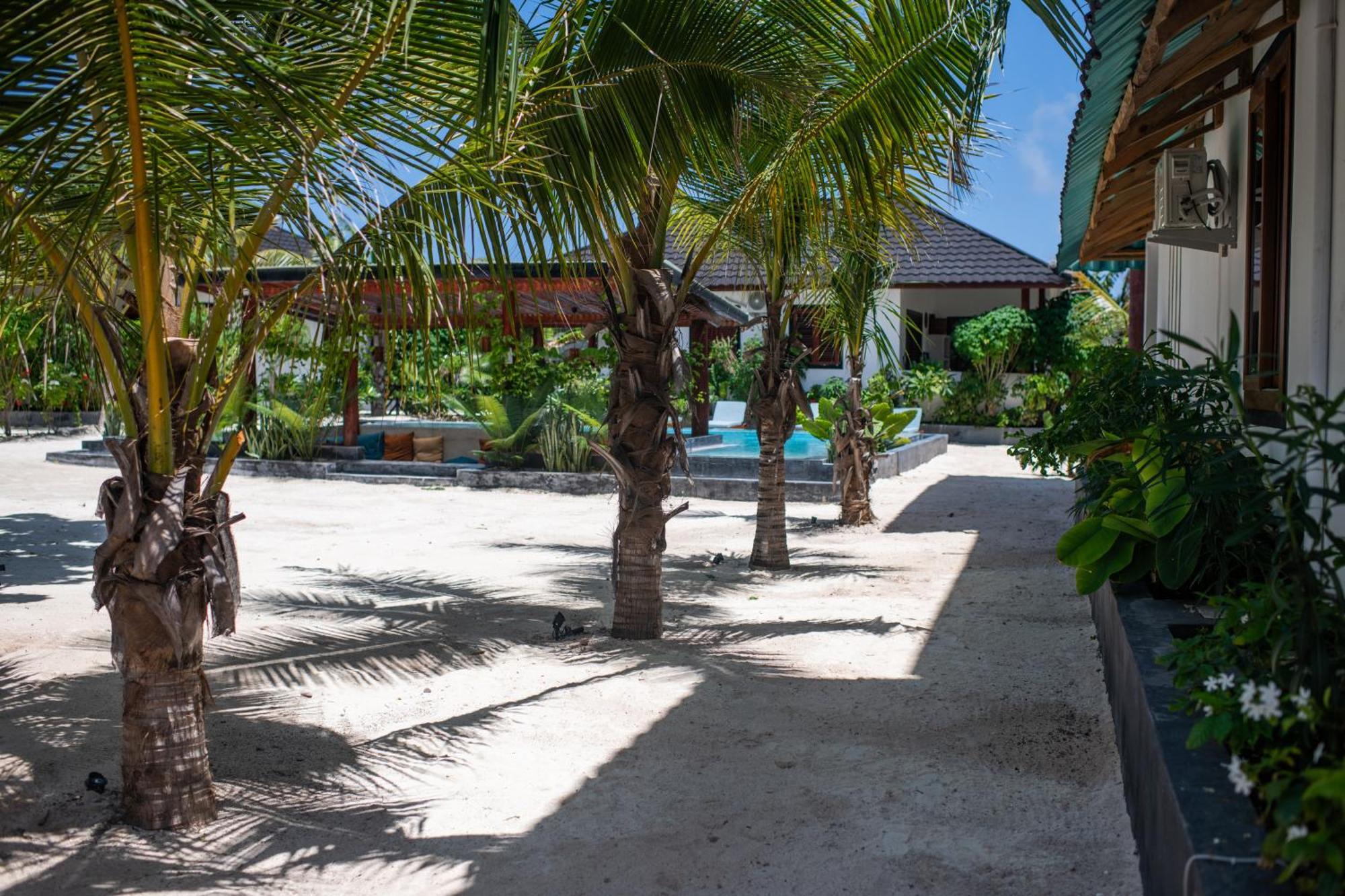 Baobab Bungalows 江比阿 外观 照片