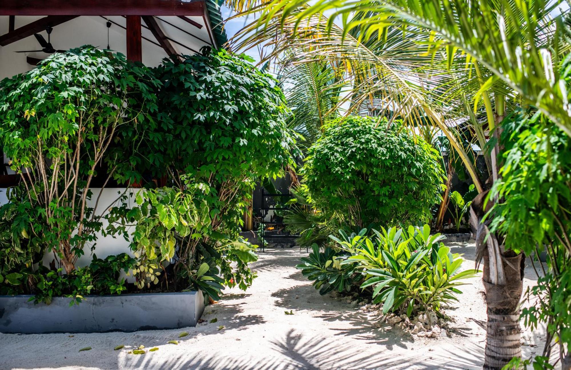 Baobab Bungalows 江比阿 外观 照片
