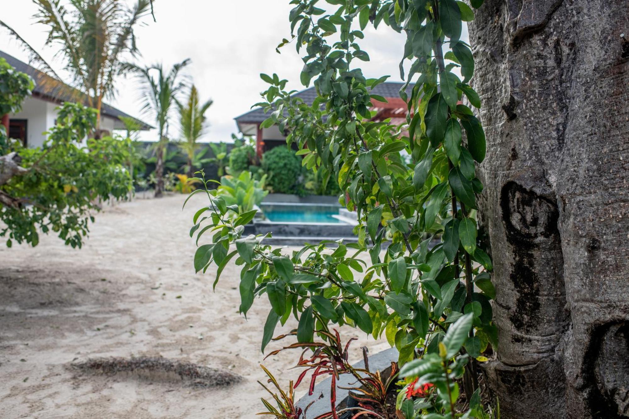Baobab Bungalows 江比阿 外观 照片