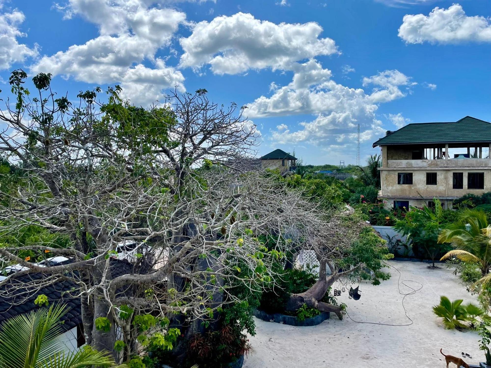 Baobab Bungalows 江比阿 外观 照片